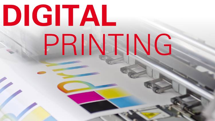 Folex is proud to present its wide media assortment for large format ink jet printers.