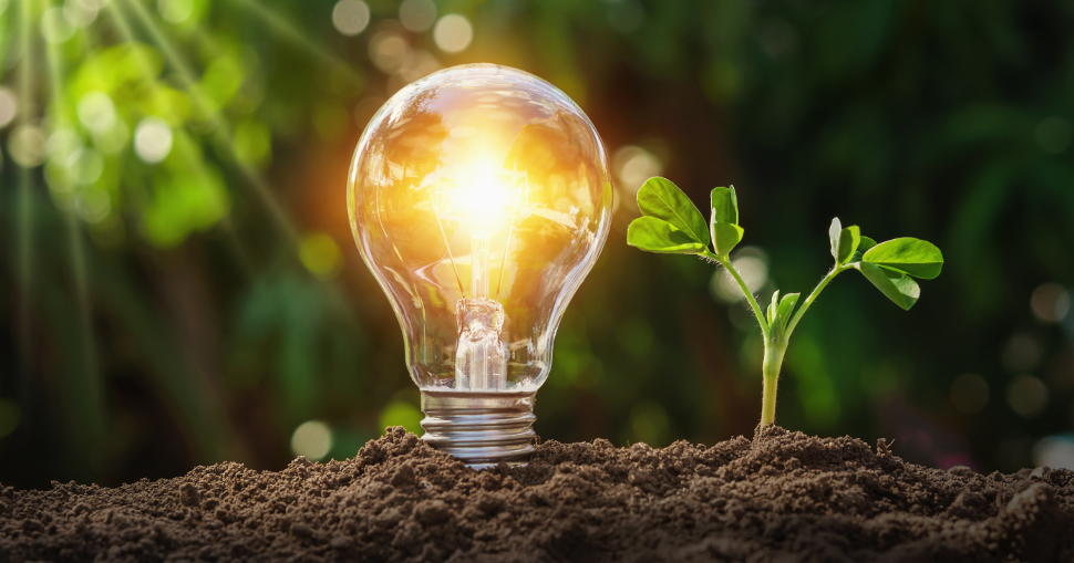 Recent research published by Ricoh Europe found that one in four business leaders believe that their organisation cannot make improvements in terms of reducing their impact on the environment.